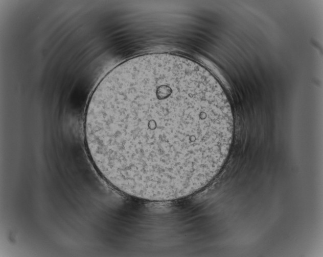 X0000091680810200709201238