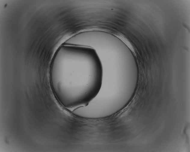 X0000091680813200709201237