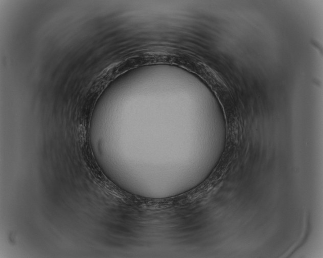 X0000091680821200709201237