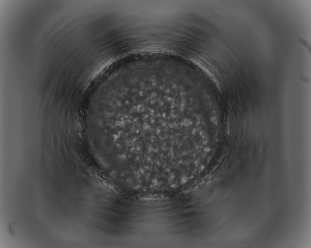 X0000091680823200709201237