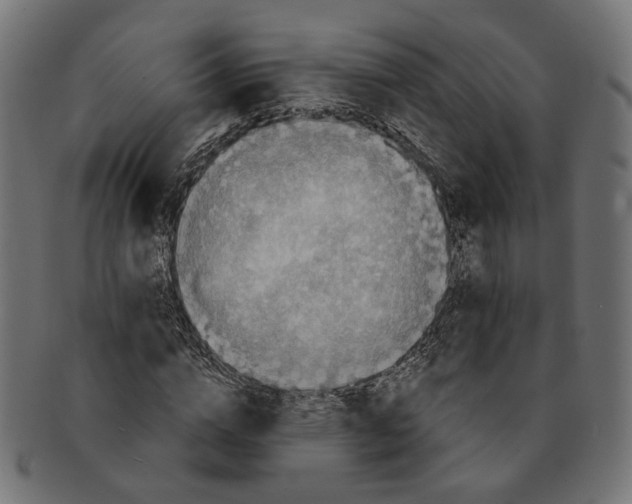 X0000091680824200709201237