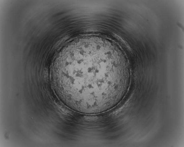 X0000091680825200709201237