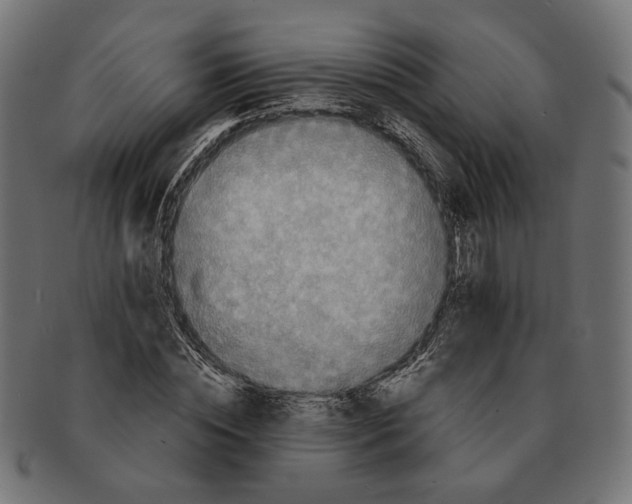 X0000091680828200709201237