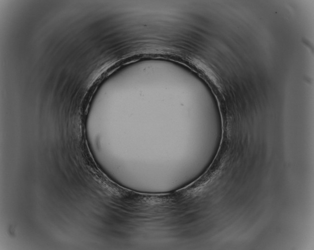 X0000091680829200709201237