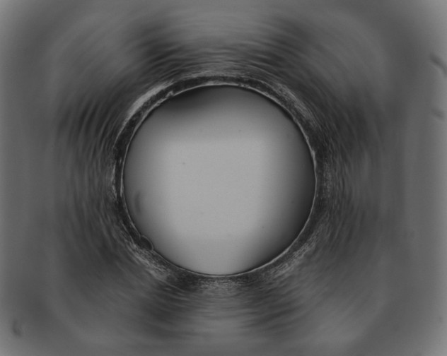 X0000091680830200709201237