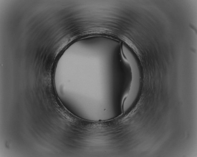 X0000091680834200709201237