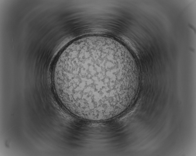 X0000091680835200709201237