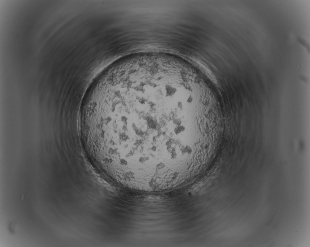 X0000091680839200709201237