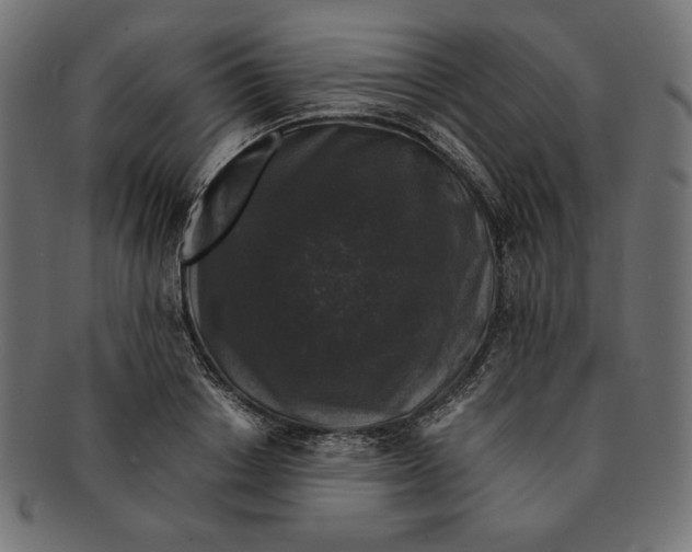 X0000091680842200709201237