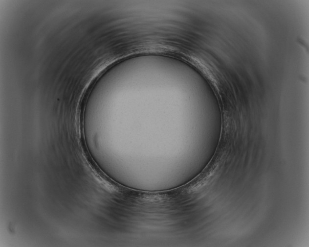 X0000091680843200709201237