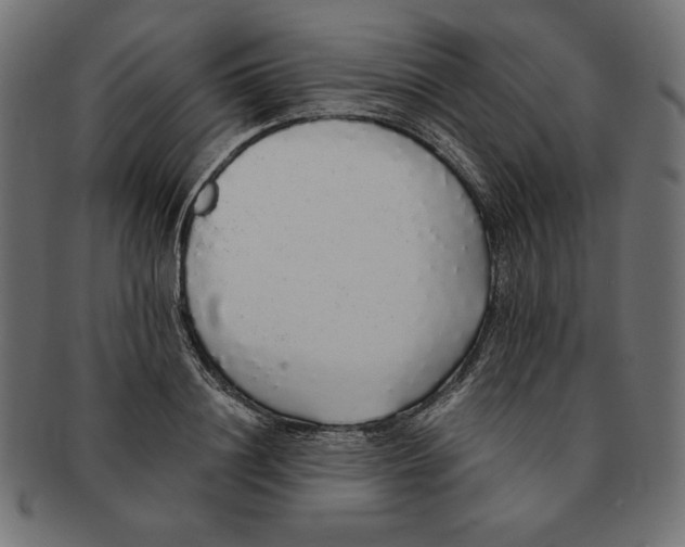 X0000091680844200709201237