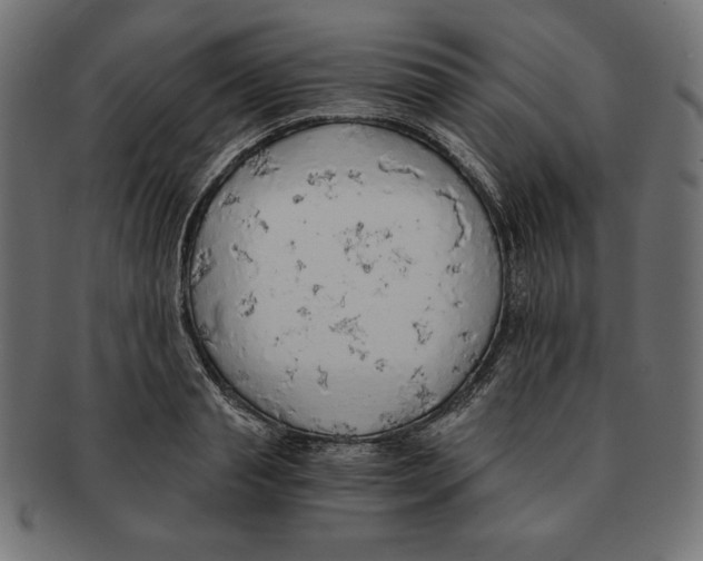 X0000091680845200709201237