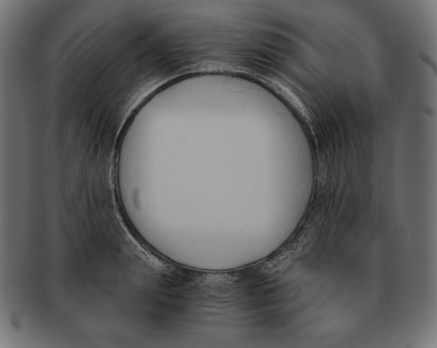 X0000091680847200709201237