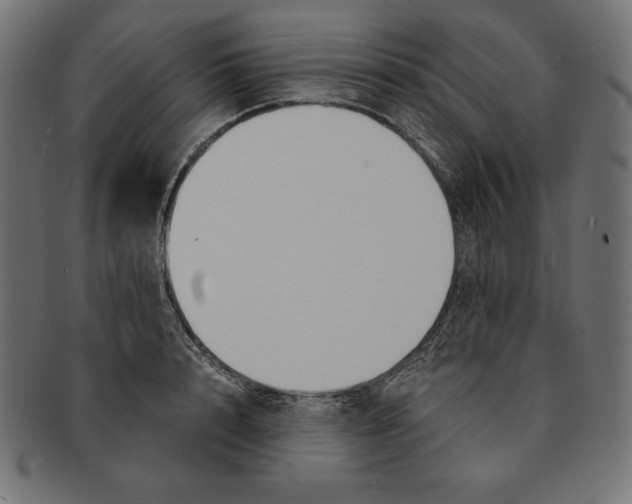 X0000091680848200709201237