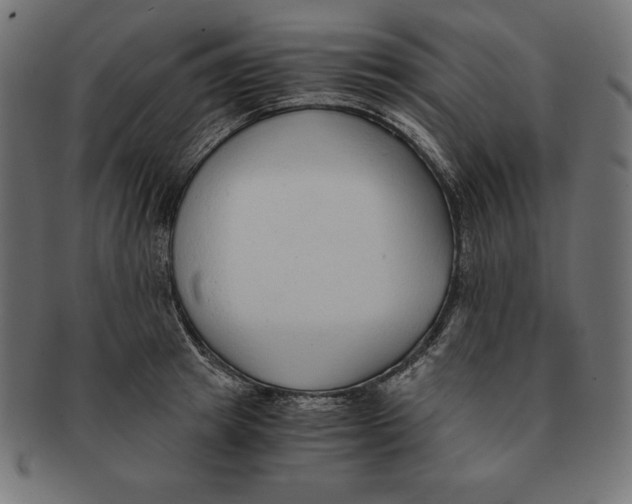 X0000091680849200709201237