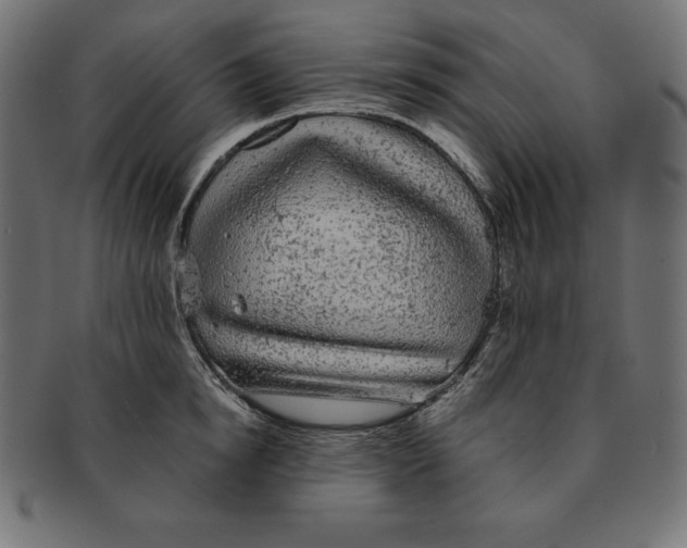 X0000091680854200709201237