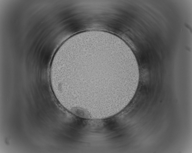 X0000091680856200709201237