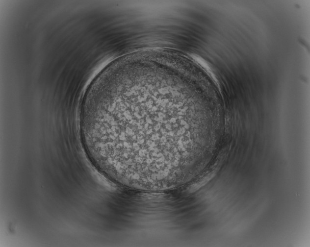 X0000091680859200709201237