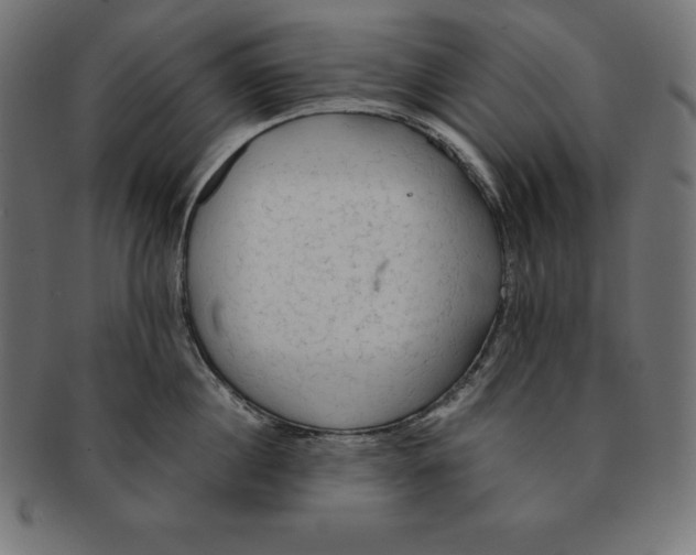 X0000091680860200709201237