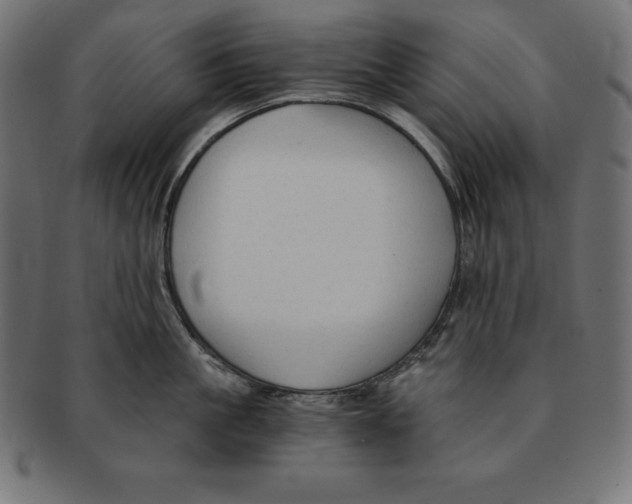 X0000091680861200709201237