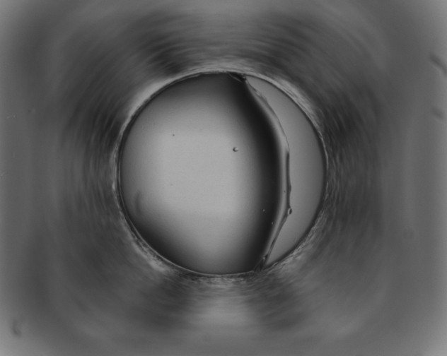 X0000091680862200709201237