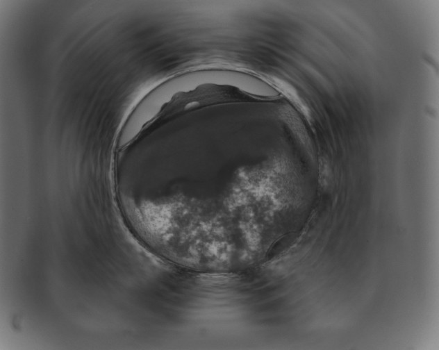 X0000091680863200709201237