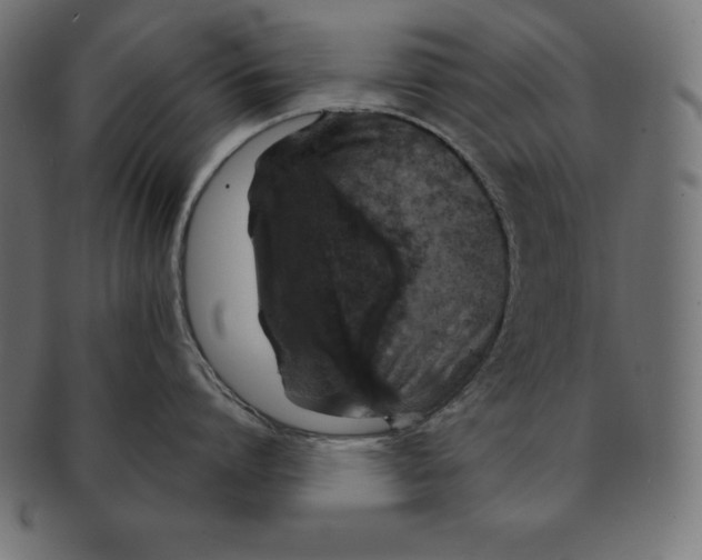 X0000091680864200709201237