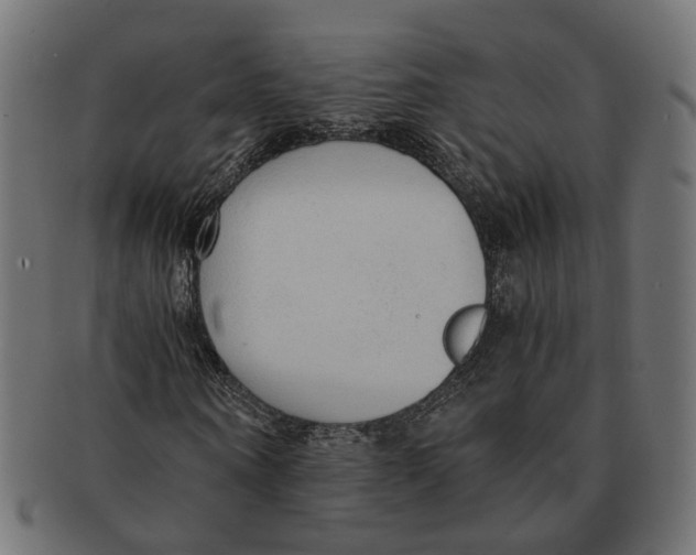 X0000091680866200709201237