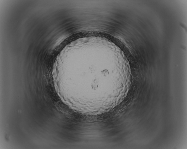 X0000091680871200709201237