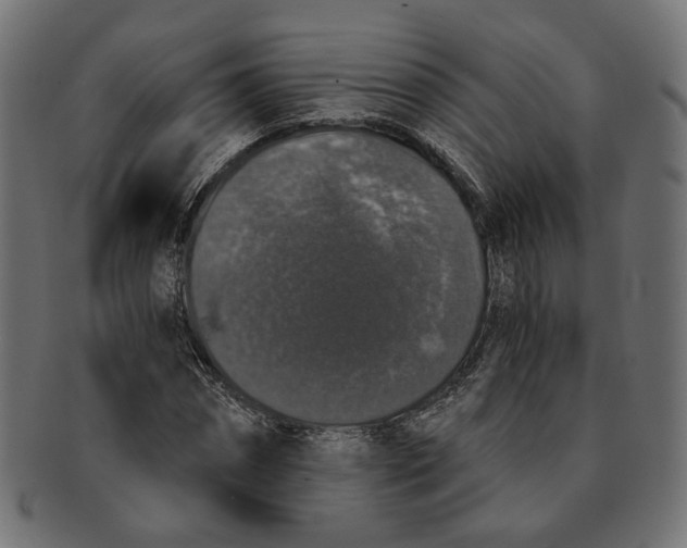 X0000091680874200709201237