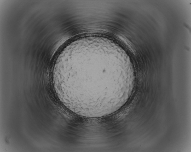 X0000091680875200709201237