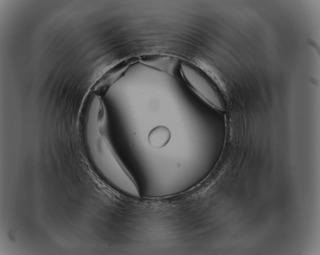 X0000091680876200709201237