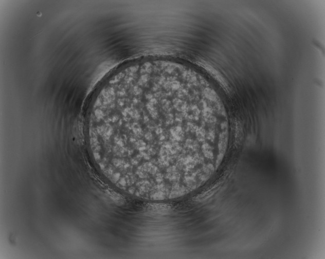 X0000091680878200709201237