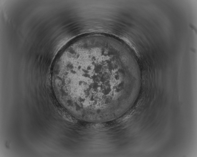 X0000091680879200709201237