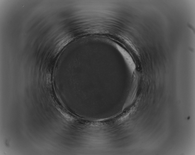 X0000091680881200709201237