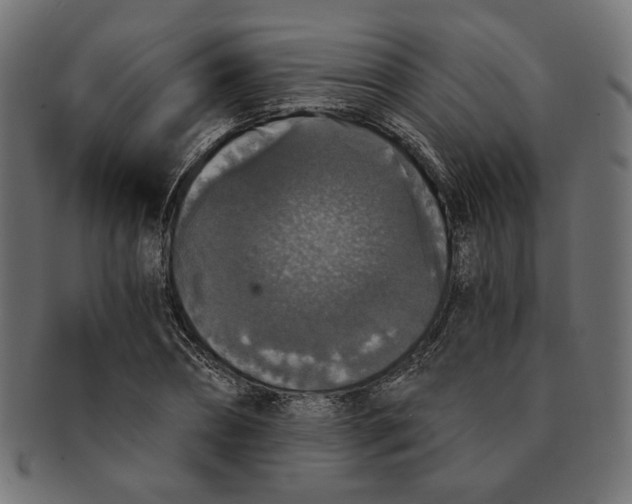 X0000091680882200709201237