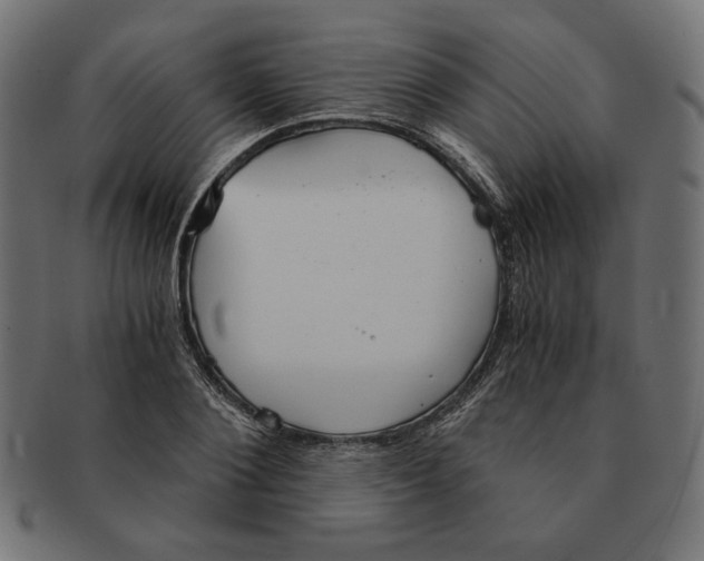 X0000091680884200709201237