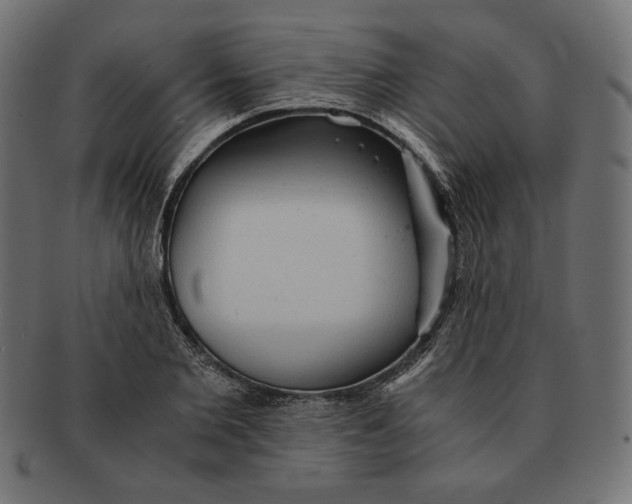 X0000091680885200709201237