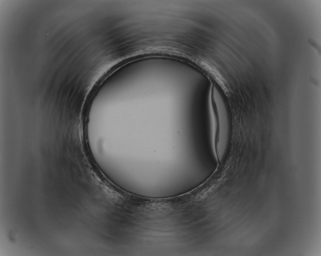 X0000091680888200709201237