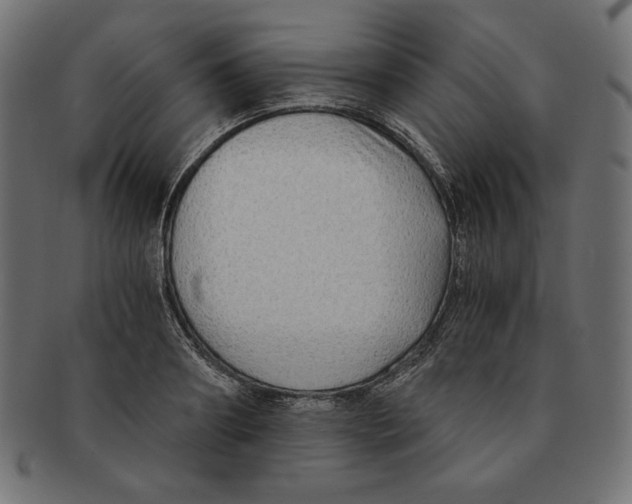 X0000091680890200709201237