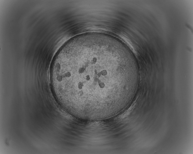 X0000091680891200709201237