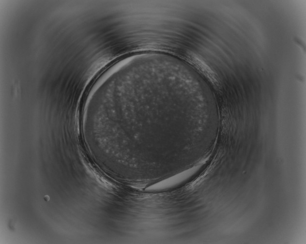 X0000091680892200709201237