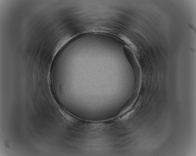 X0000091680893200709201237