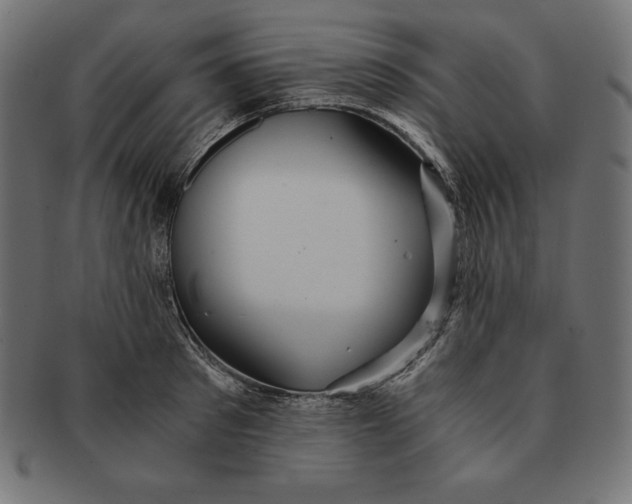 X0000091680897200709201236