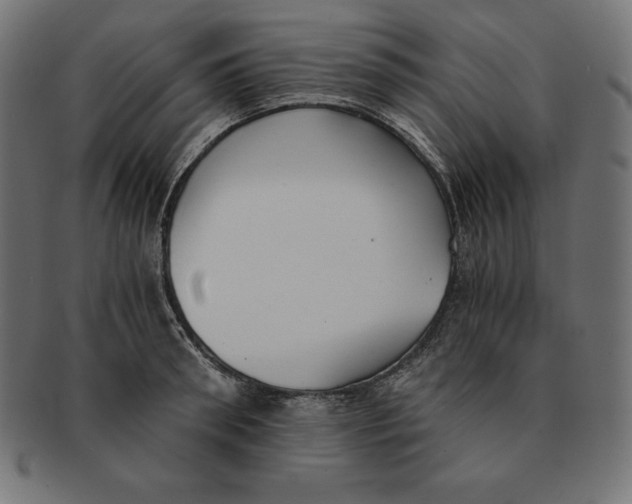 X0000091680898200709201236