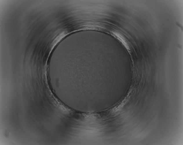 X0000091680899200709201236