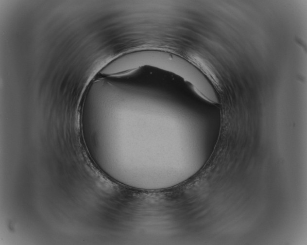 X0000091680900200709201236