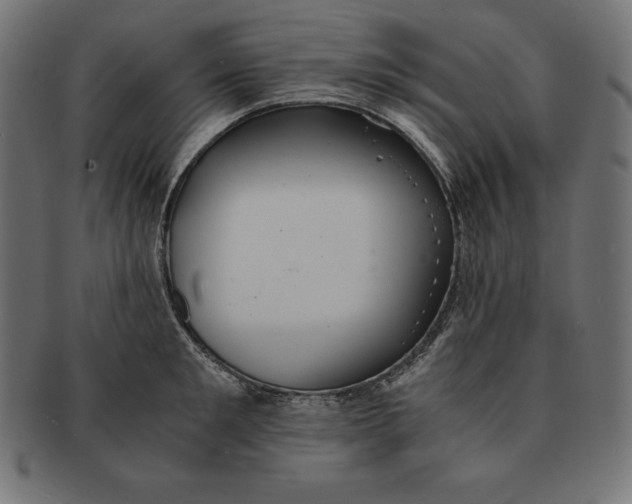 X0000091680901200709201236