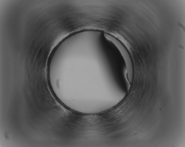 X0000091680902200709201236