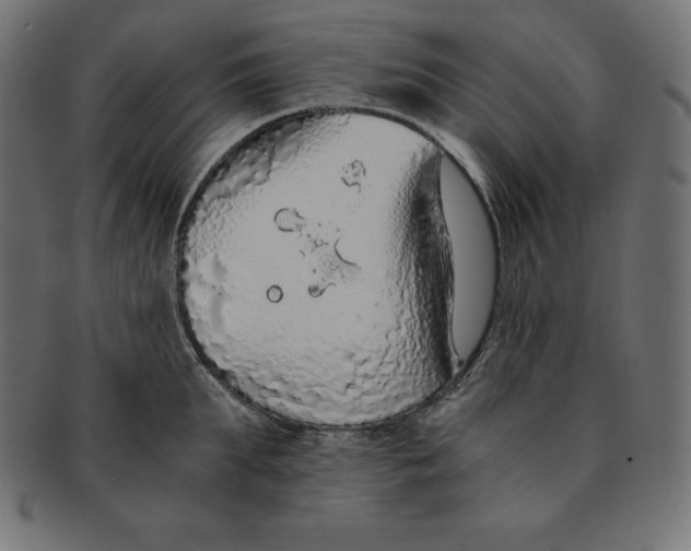 X0000091680903200709201236